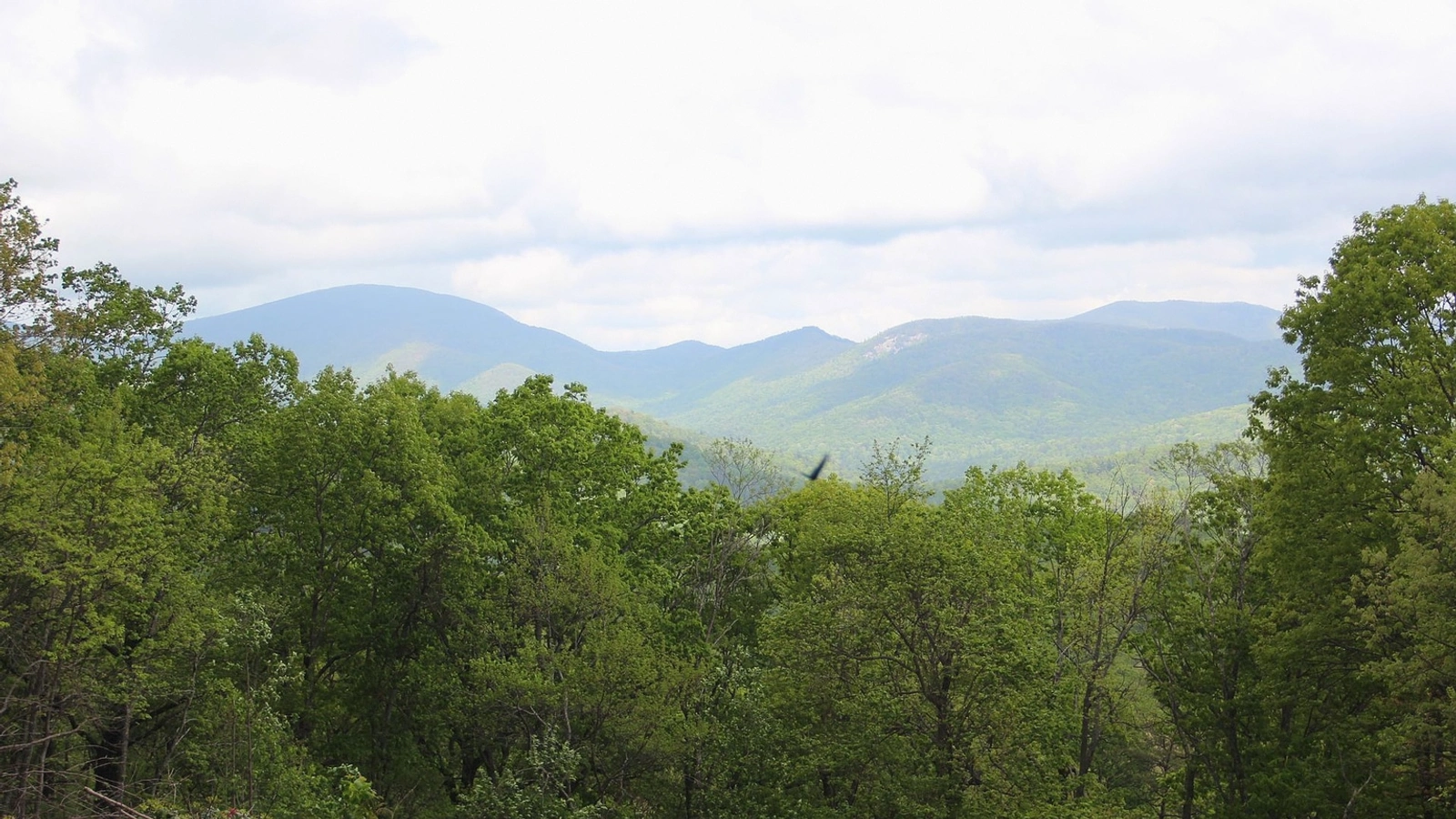 Open Georgia land access road near Macon