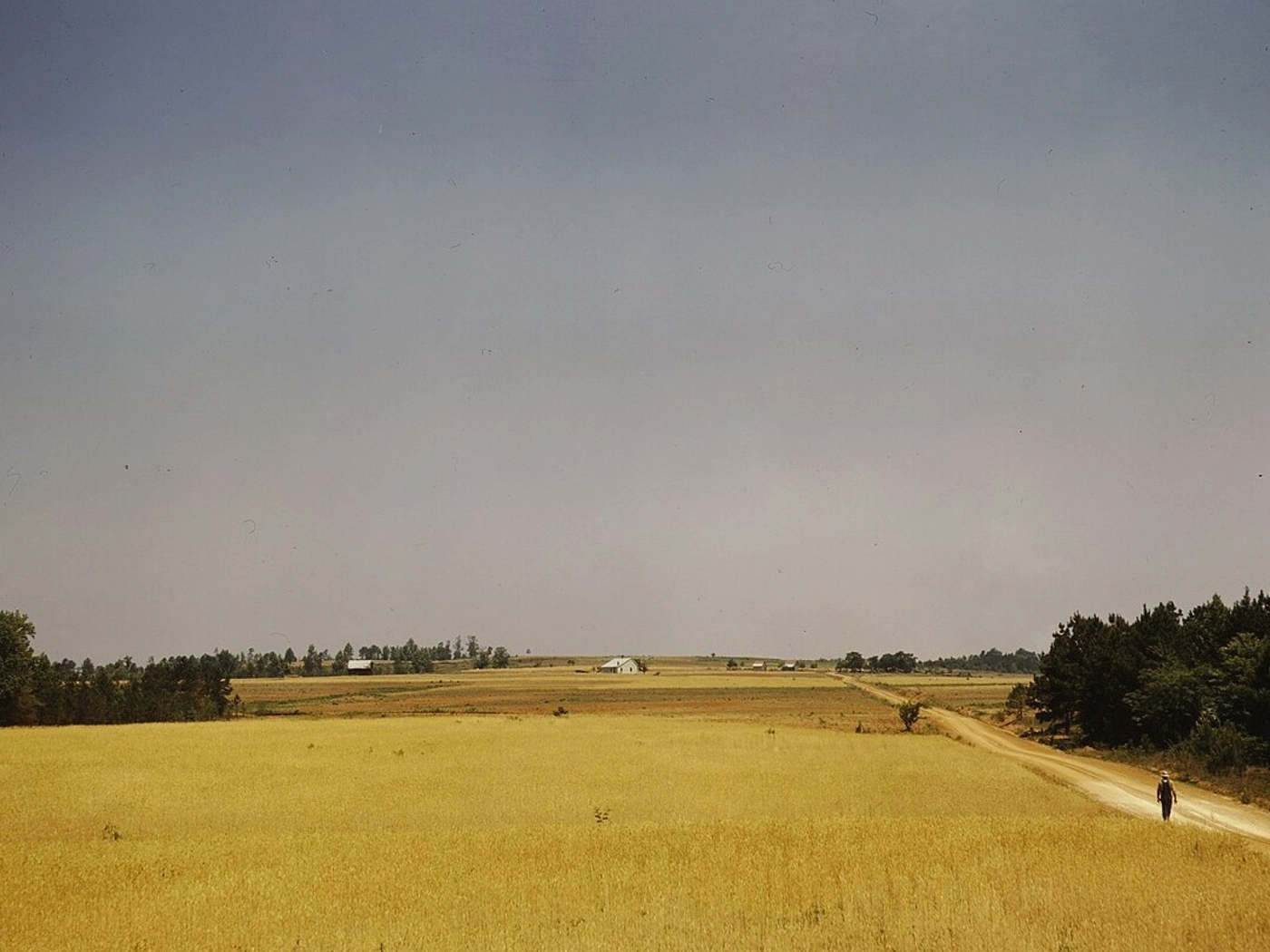 Rural Access Parcels in Macon